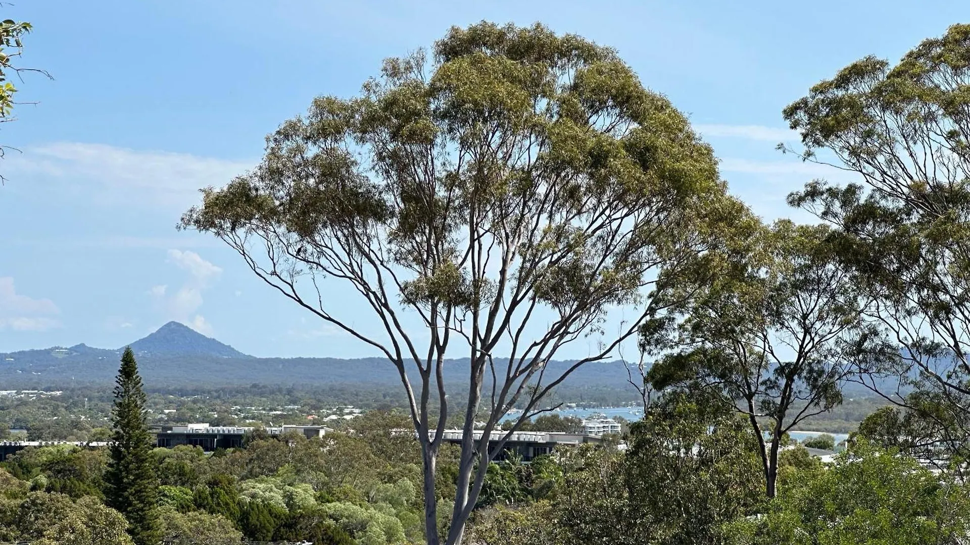Oasis Rooftop Spa Apartment Noosa Heads
