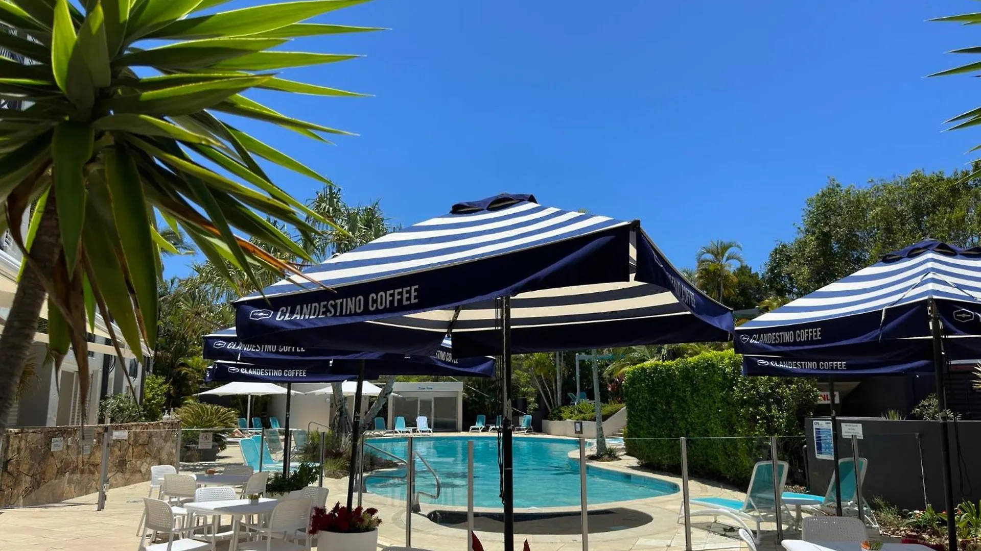 Oasis Rooftop Spa Apartment Noosa Heads