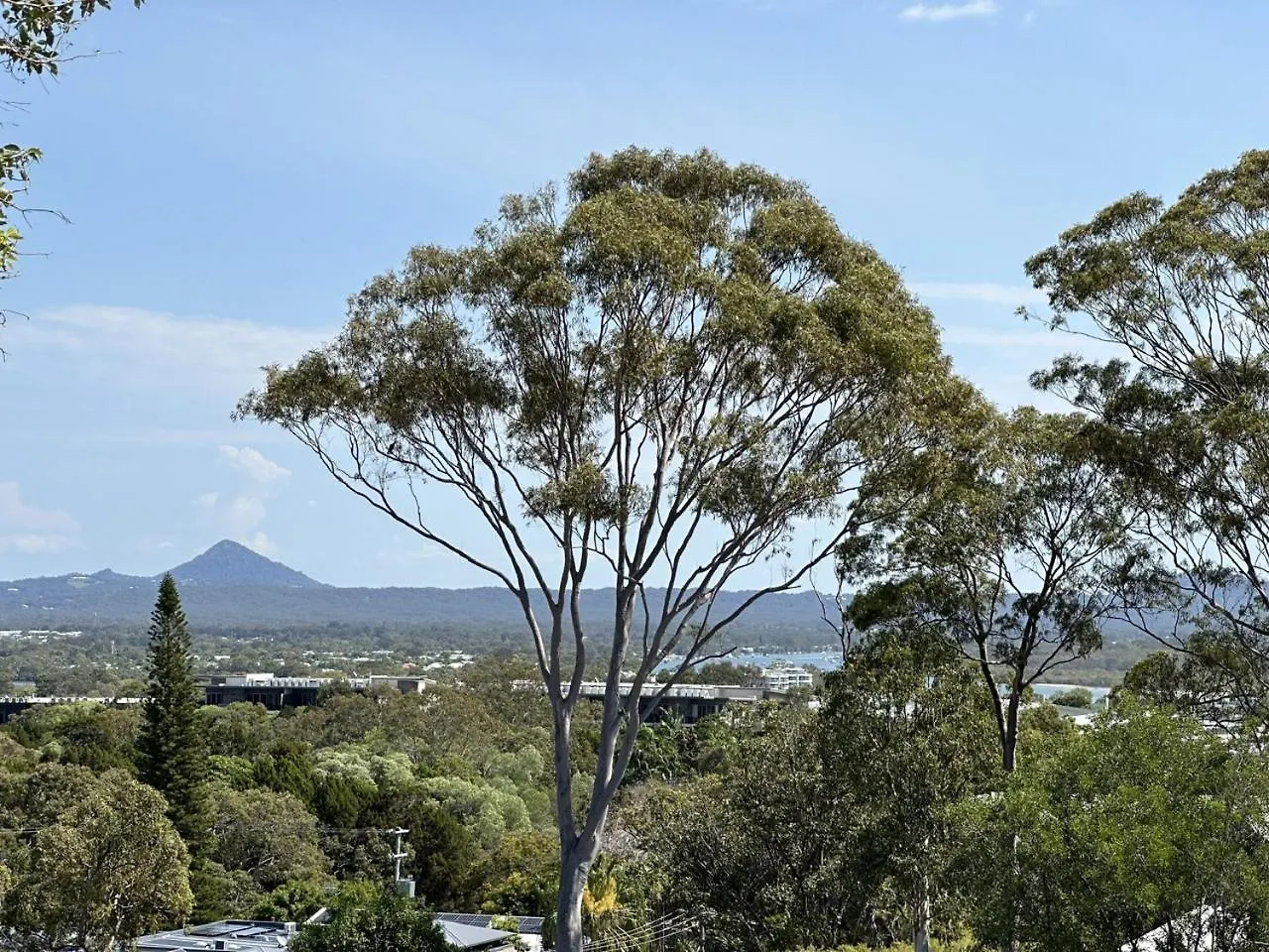 Oasis Rooftop Spa Apartment Noosa Heads